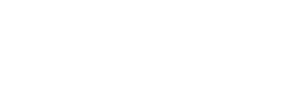 Fintech Logo White Horizontal