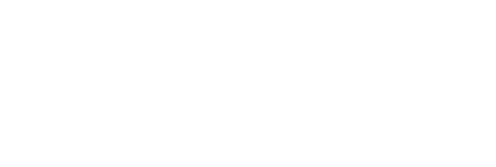 Fintech Logo White Horizontal