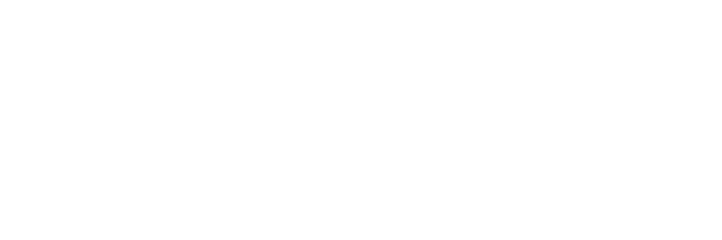 white Fintech logo trademarked