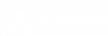 white Fintech logo trademarked